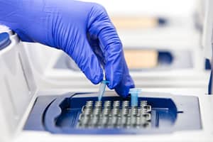 animal diagnostic lab