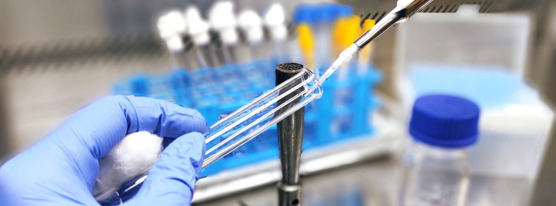 veterinary pathology lab