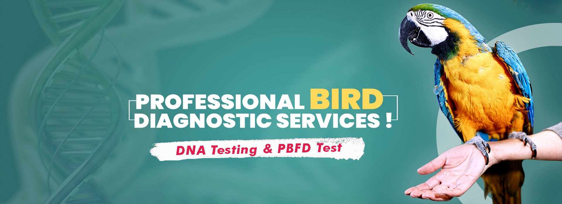 animal diagnostic center